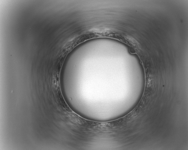 X0000064050966200602101446