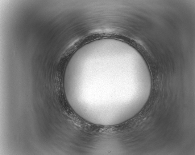 X0000064050967200602101446