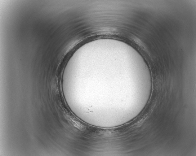 X0000064050970200602101446