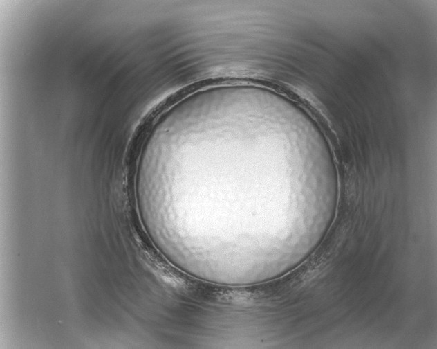 X0000064050971200602101446