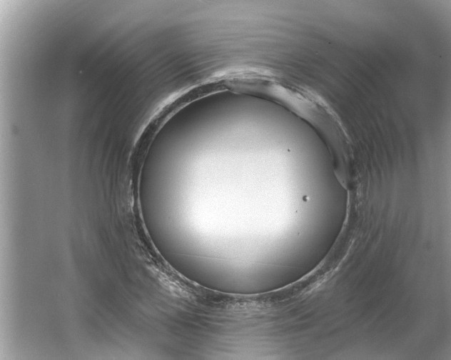 X0000064050973200602101446