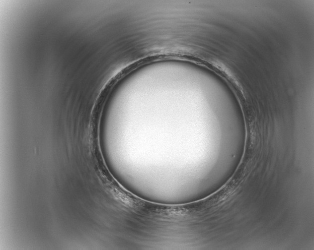 X0000064050975200602101446