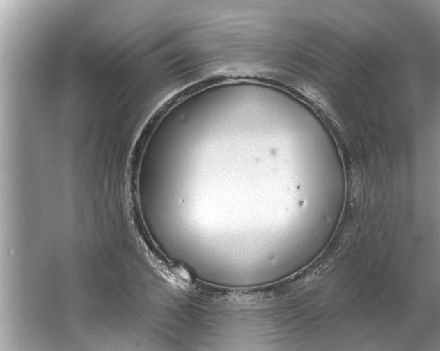 X0000064050976200602101446