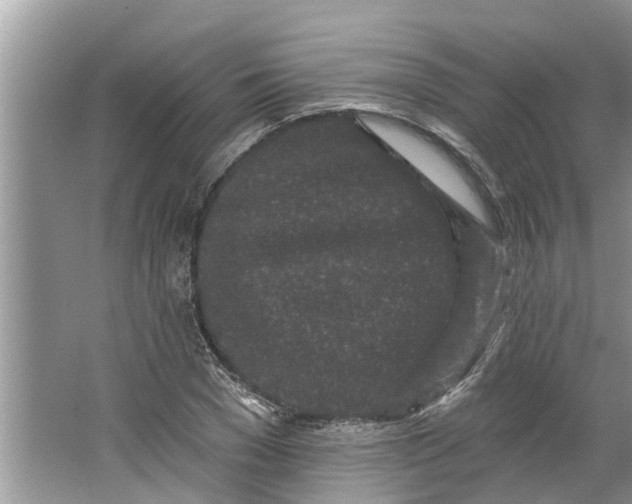 X0000064050977200602101446