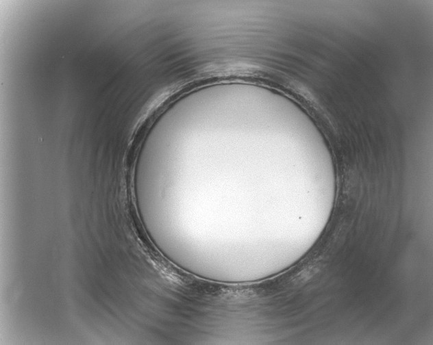 X0000064050978200602101446