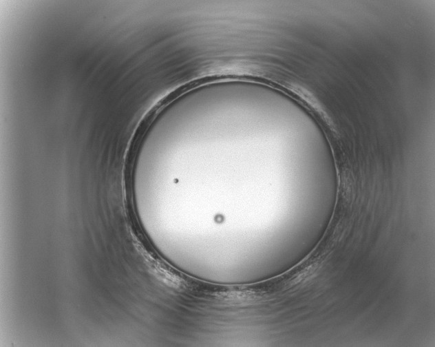 X0000064050980200602101446