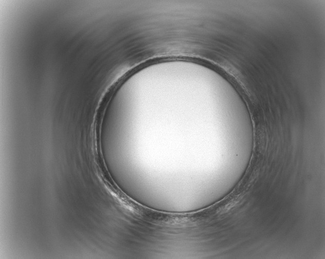 X0000064050982200602101446