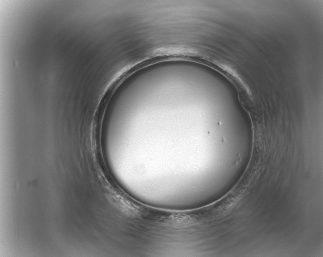 X0000064050983200602101446