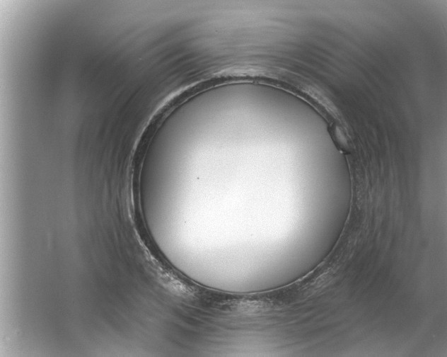 X0000064050984200602101446