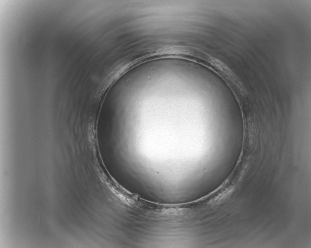 X0000064050985200602101446