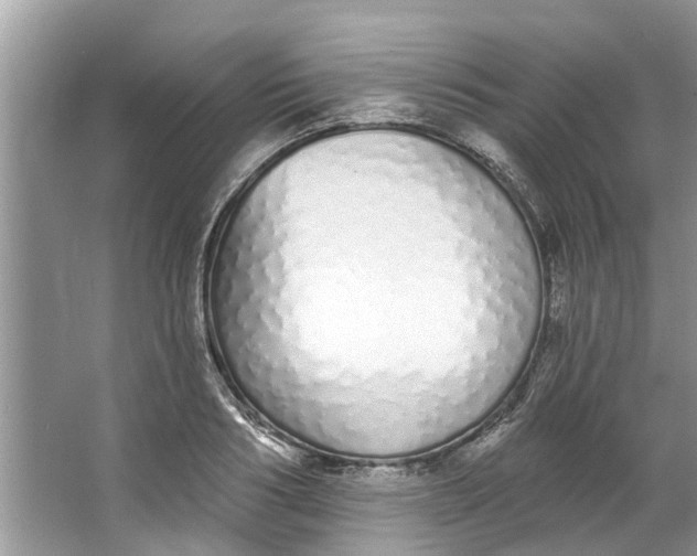 X0000064050986200602101446