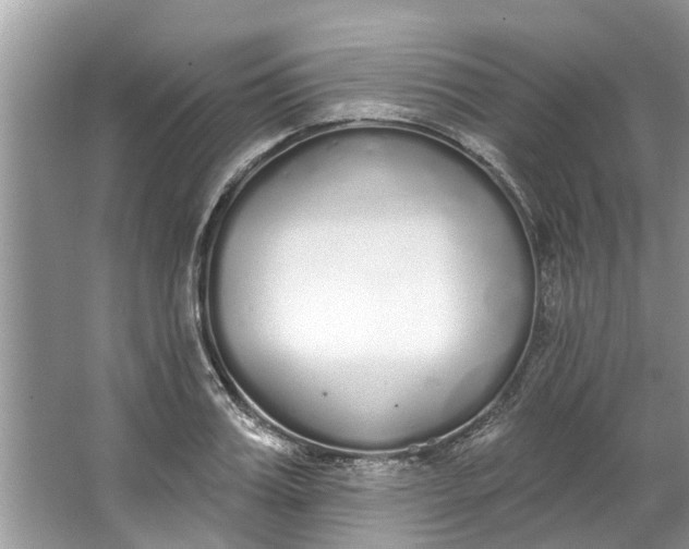 X0000064050987200602101446