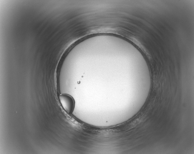 X0000064050988200602101446