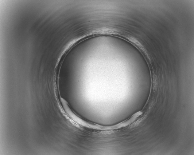 X0000064050989200602101446