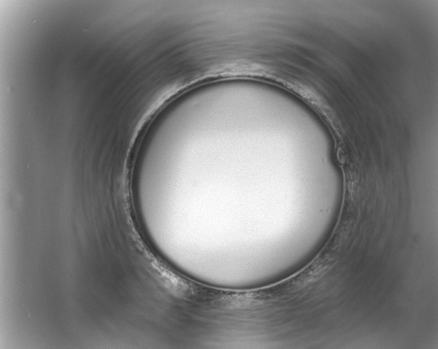 X0000064050990200602101446