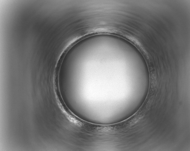 X0000064050991200602101446