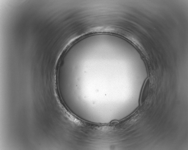 X0000064050992200602101446