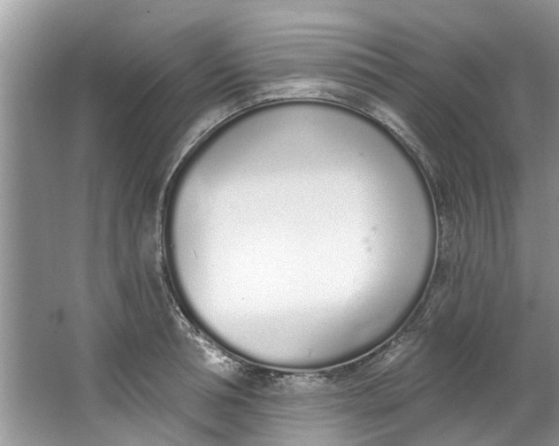 X0000064050994200602101446