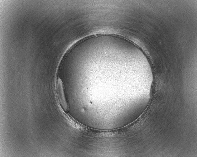 X0000064050996200602101446