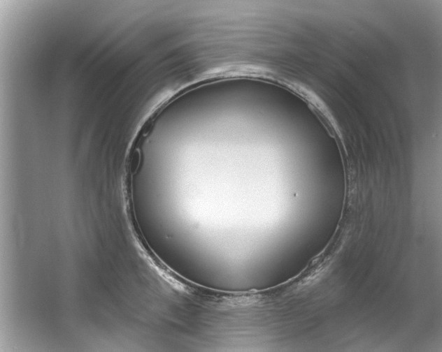 X0000064050997200602101446