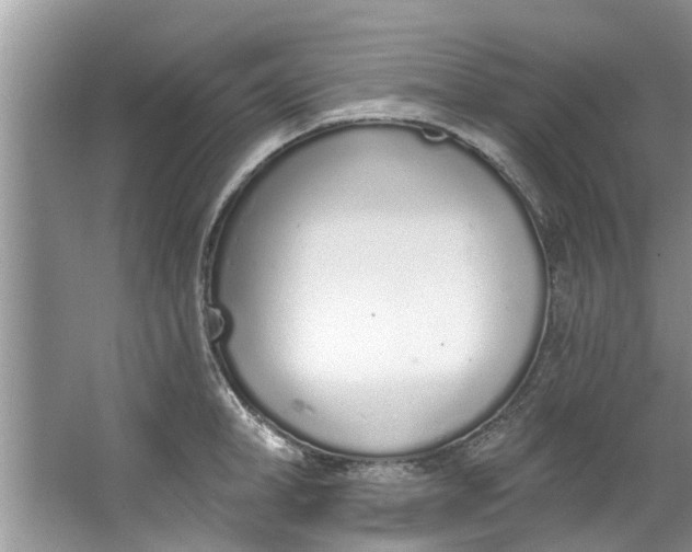 X0000064050998200602101446