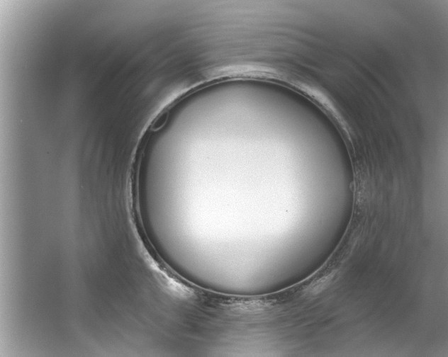 X0000064050999200602101446