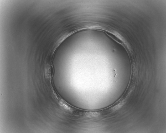 X0000064051001200602101446