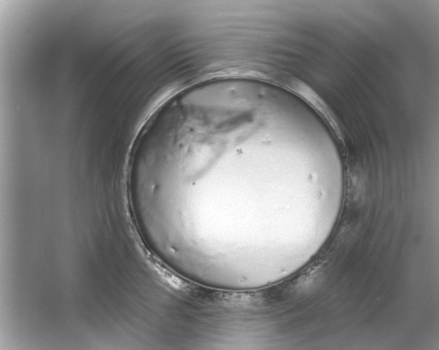 X0000064051002200602101446