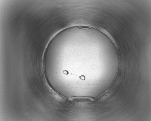 X0000064051004200602101446