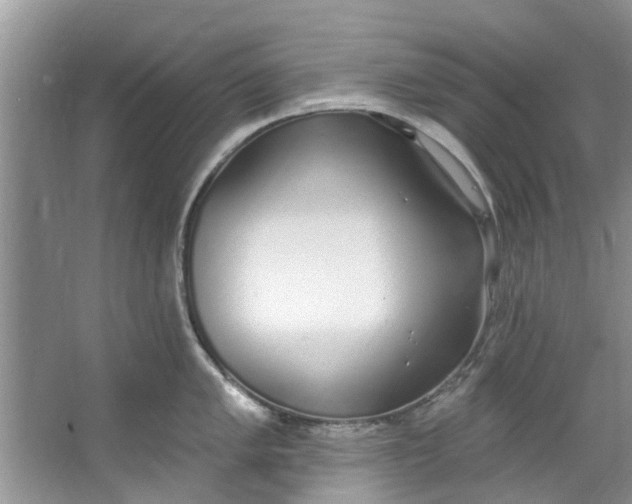 X0000064051005200602101445