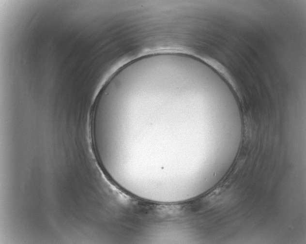 X0000064051006200602101445