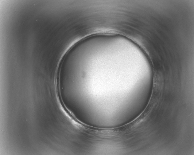 X0000064051007200602101445