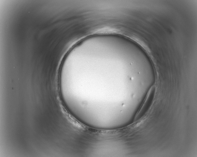 X0000064051008200602101445