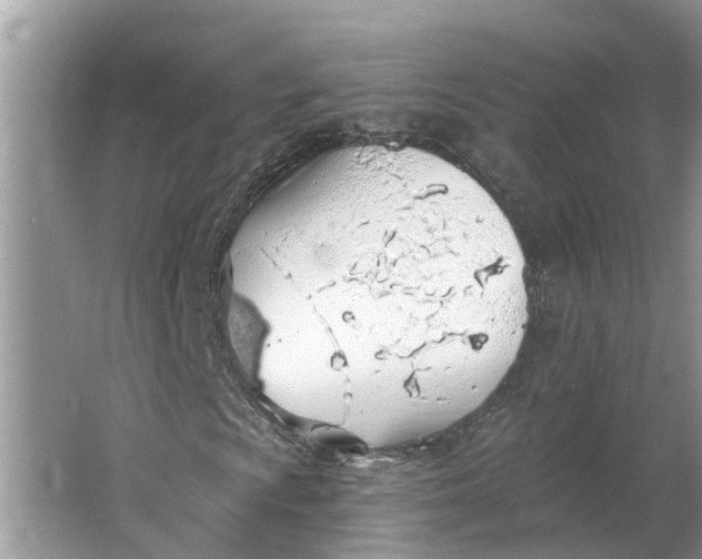 X0000064051009200602101445