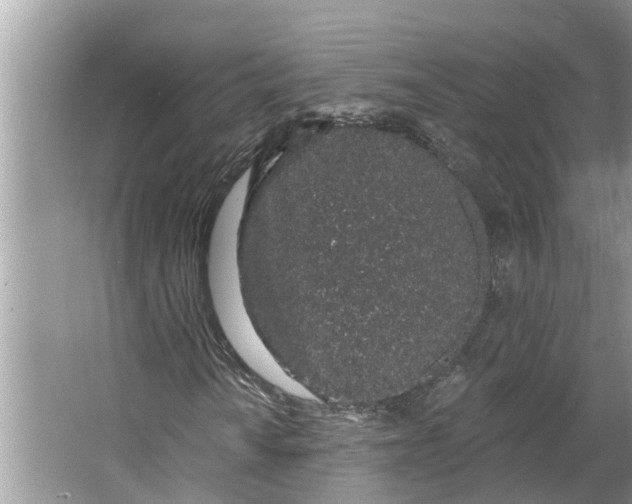 X0000064051010200602101445