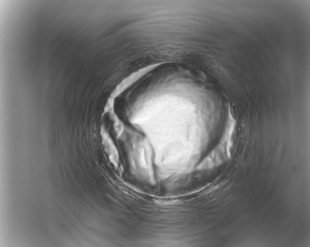 X0000064051011200602101445