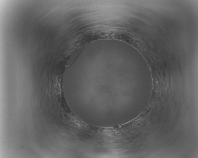 X0000064051013200602101445