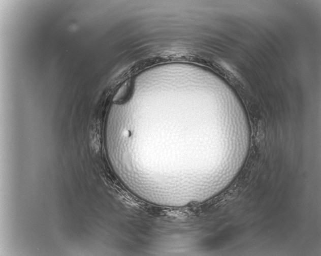 X0000064051015200602101445