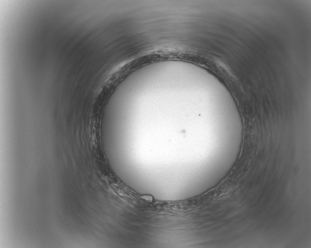 X0000064051016200602101445