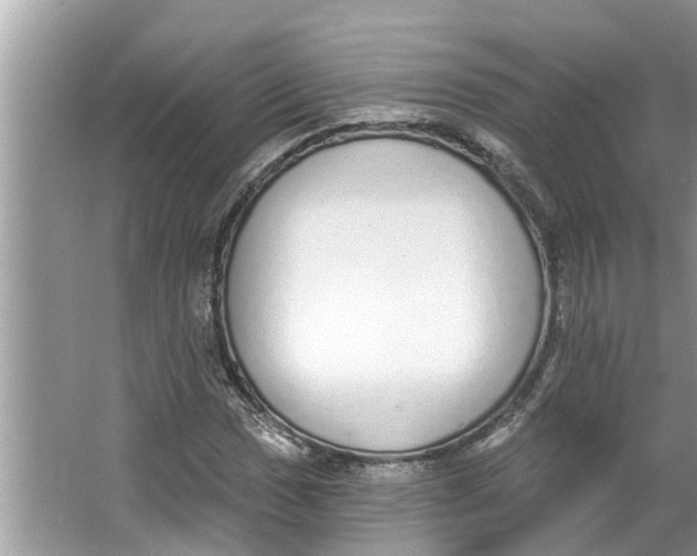 X0000064051017200602101445