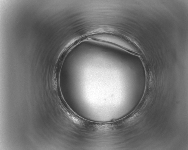 X0000064051018200602101445