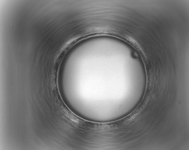 X0000064051019200602101445