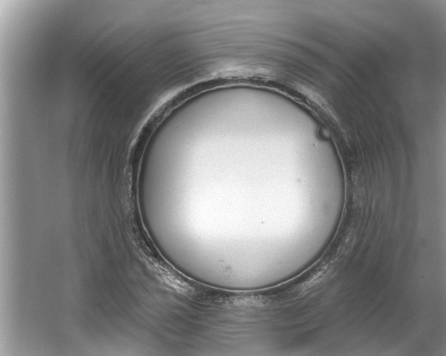 X0000064051021200602101445