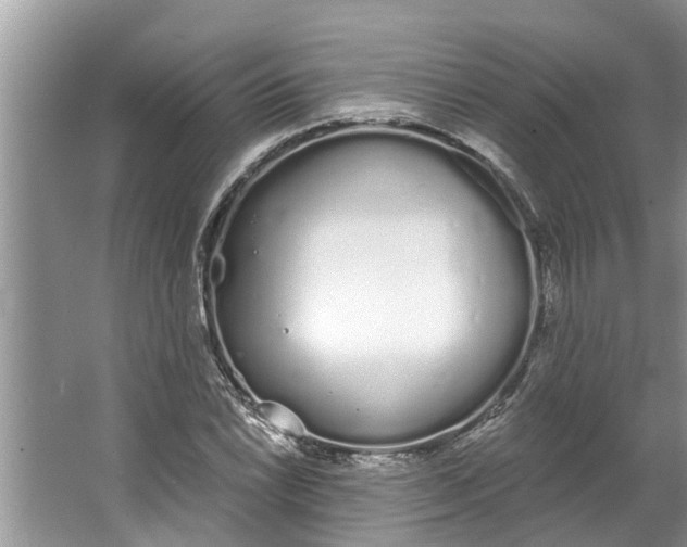 X0000064051022200602101445