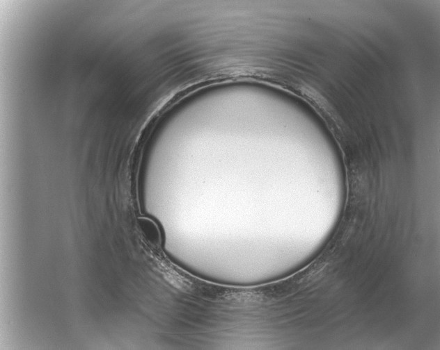 X0000064051023200602101445