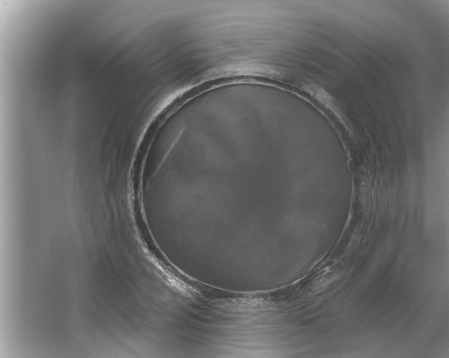 X0000064051024200602101445