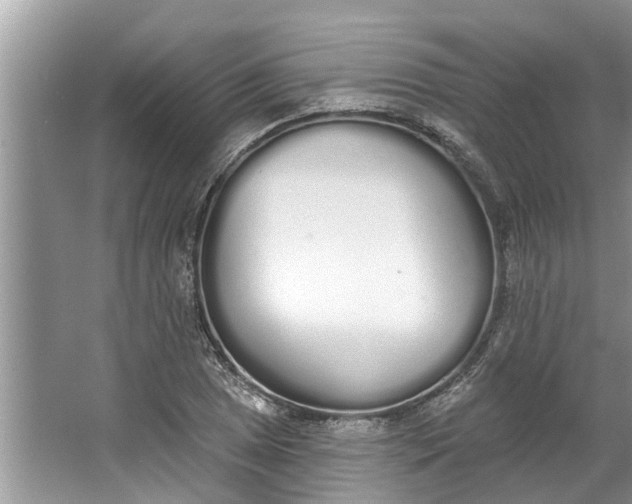 X0000064051025200602101445