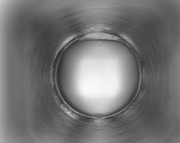 X0000064051026200602101445