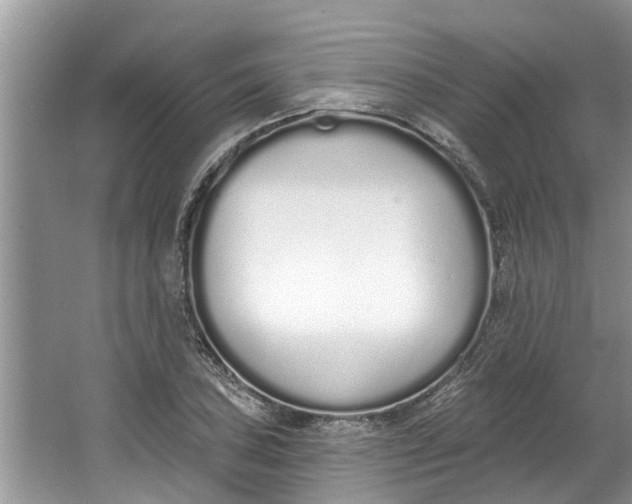 X0000064051027200602101445