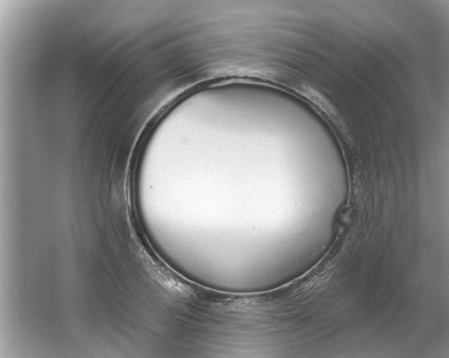 X0000064051028200602101445